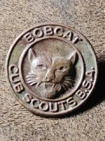 CubScoutPin.jpg