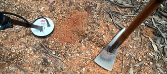 IMG_20251105_140428043_HDR (1).jpg