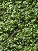 2026-03-24 12.49.44.jpeg