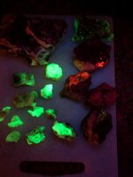 IMG_3555.jpeg