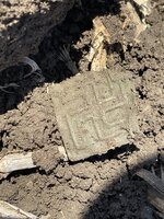 IMG_3727.jpeg