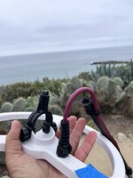 IMG_2573.jpeg