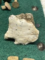 IMG_4064.jpeg