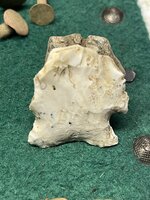 IMG_4061.jpeg