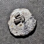 IMG_8788.jpeg