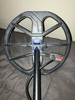 IMG_1114.jpeg