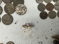 IMG_0381.jpeg