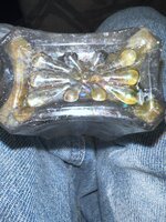 IMG_3155.jpeg