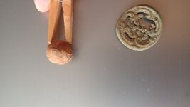 IMG_20260817_105258578.jpg