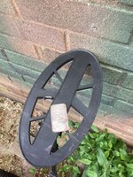 IMG_2527.jpeg