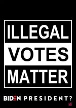 ILLEGAL VOTES MATTER.jpg