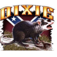 The Possum
